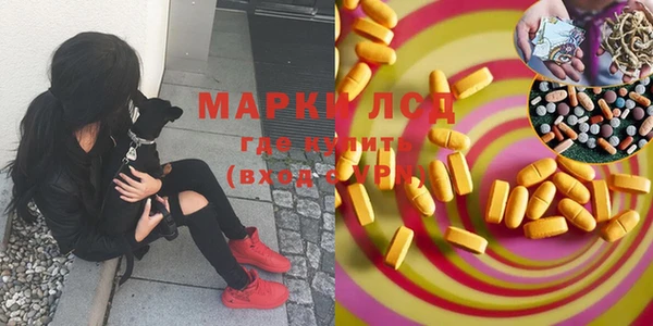 ECSTASY Абаза