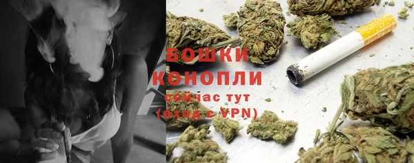 ECSTASY Абаза