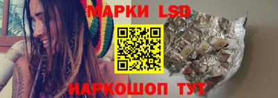 СК Бийск