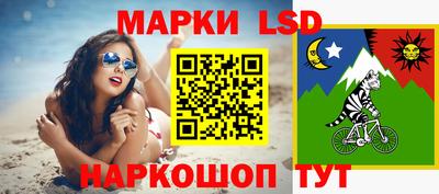 СК Бийск