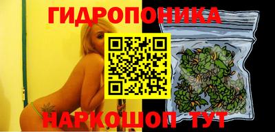 СК Бийск