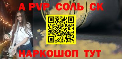 СК Бийск