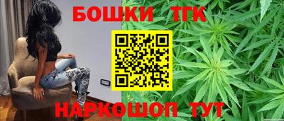 СК Бийск