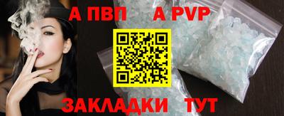 СК Бийск