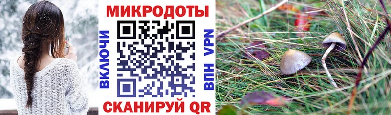 Псилоцибиновые грибы мухоморы  как найти закладки  Каменка 