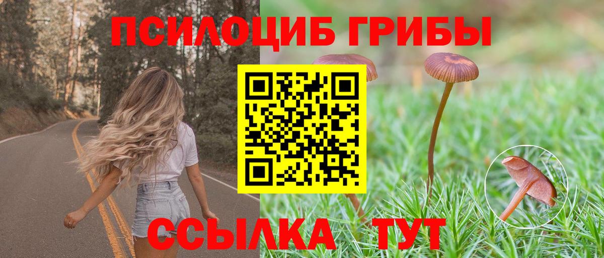 Каменка  Галлюциногенные грибы ЛСД  Вход с VPN 